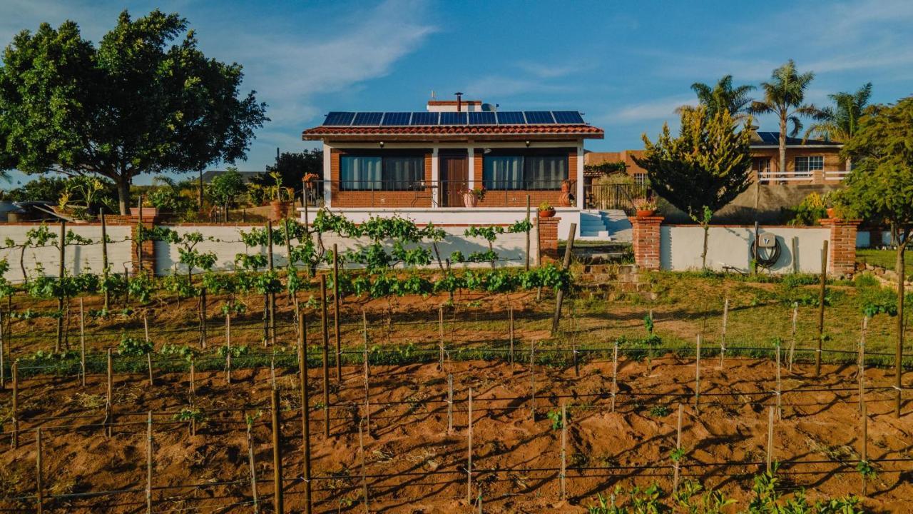 Quinta Sofia Valle De Guadalupe (Adults Only) Exterior photo