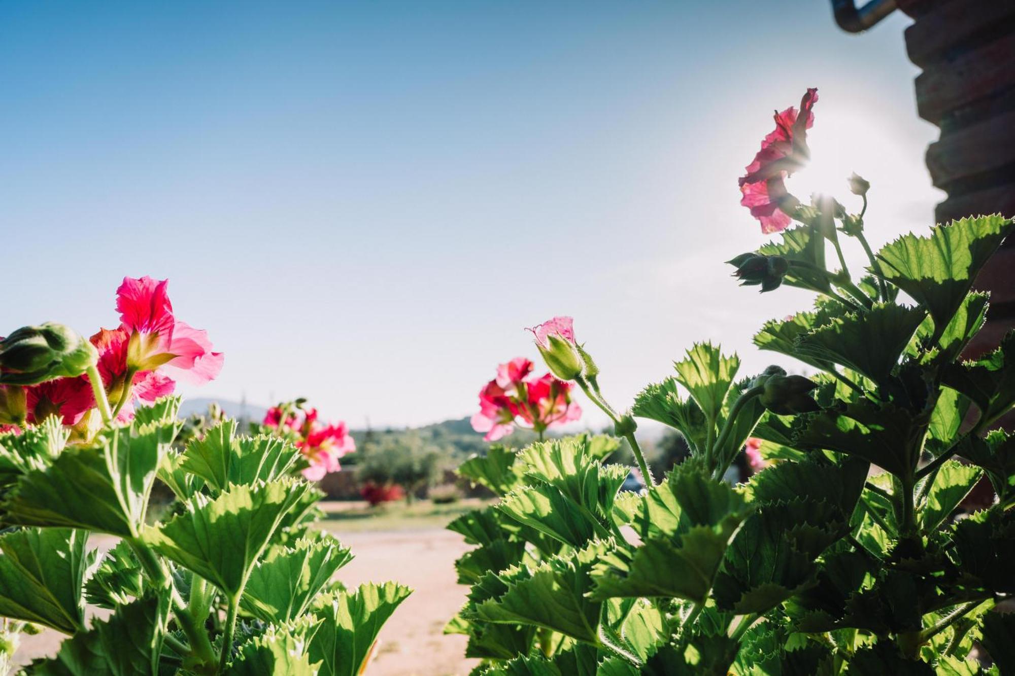 Quinta Sofia Valle De Guadalupe (Adults Only) Exterior photo