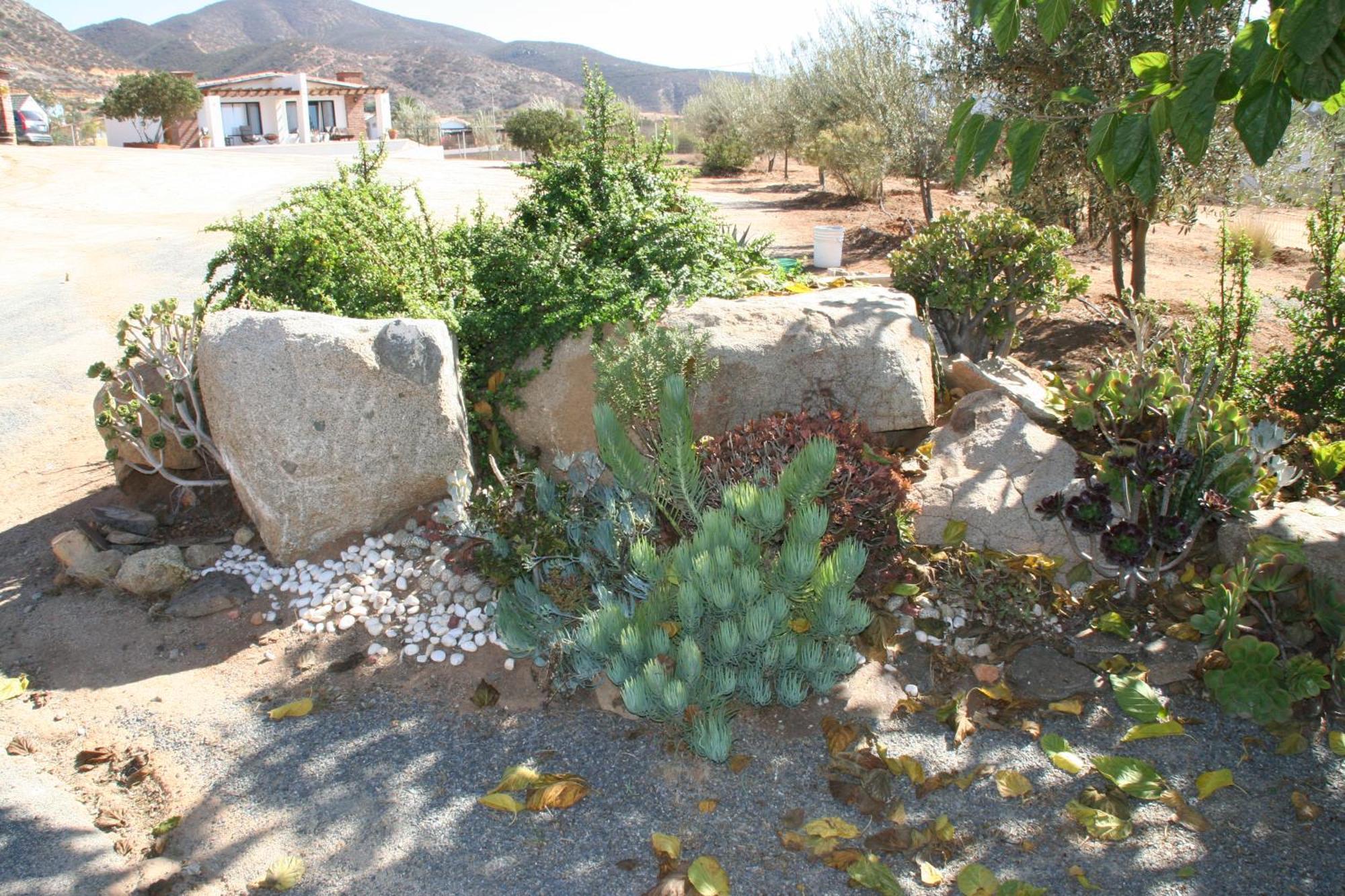 Quinta Sofia Valle De Guadalupe (Adults Only) Exterior photo