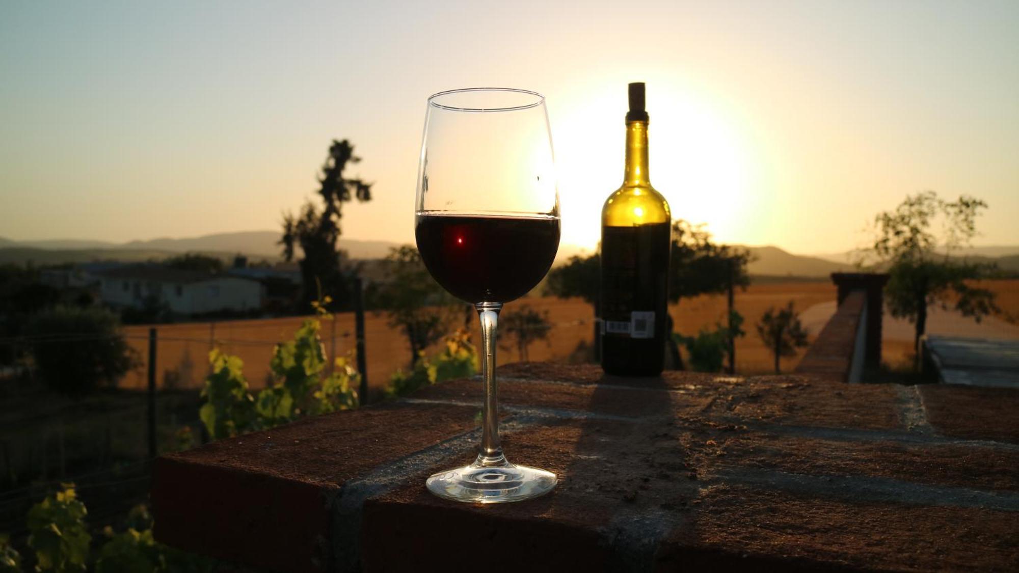 Quinta Sofia Valle De Guadalupe (Adults Only) Exterior photo